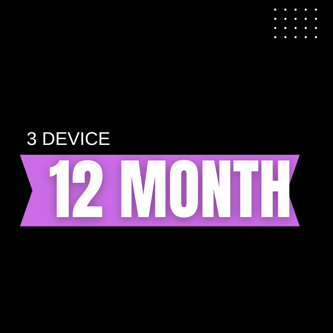 PLAN 12 MONTH 3DVS
